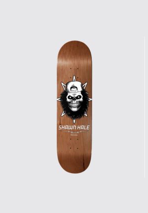 birdhouse-shawn-hale-skull-skateboard-deck